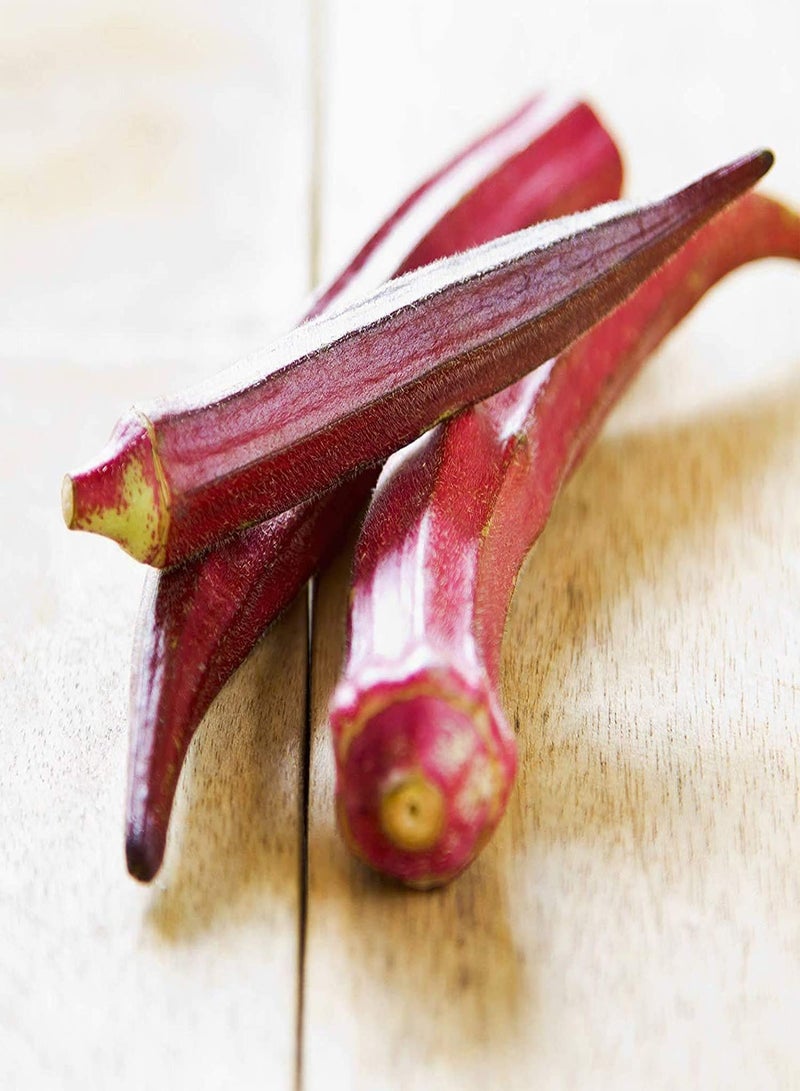 جي جوت 100 قطعة من بذور البامية، خضراوات حمراء جذابة يتم حصادها على مدار العام، محاصيل سريعة النمو، بذور طازجة مزروعة في مزارع خارجية في الفناء، استمتع بمتعة الزراعة - Image 1