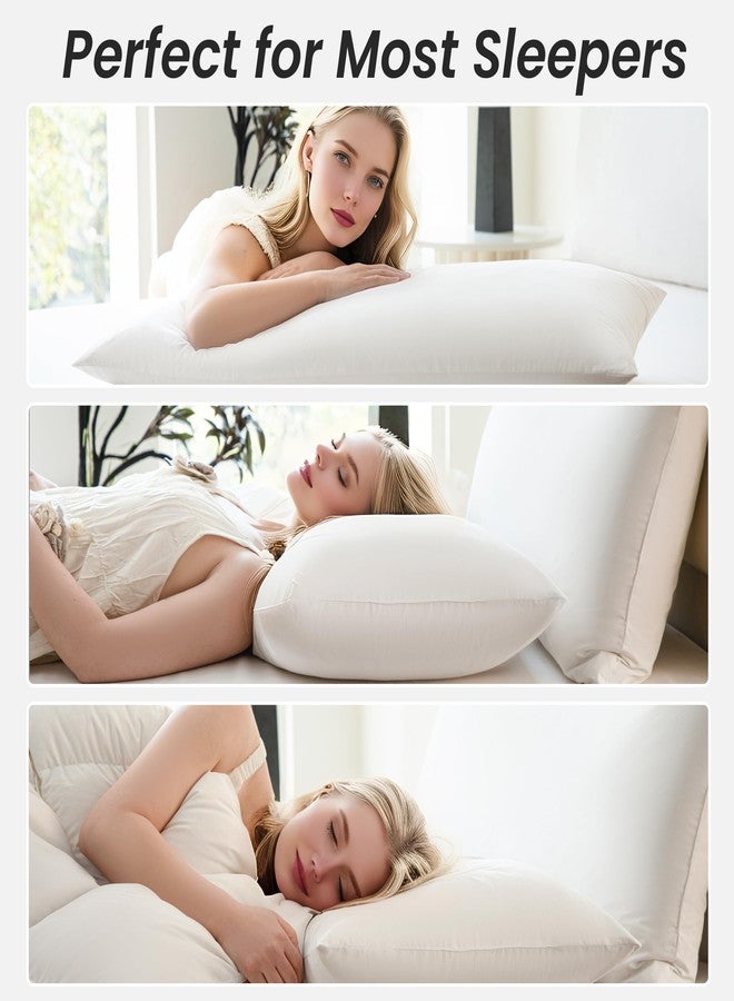 سيمبل آند أوبيولنس وسائد Simple&Opulence من ريش الإوز، مقاس كينج، طقم من قطعتين، وسادة سرير بيضاء للنوم مصنوعة من القطن الخالص 100%، وسادة فاخرة ناعمة بجودة الفنادق، مناسبة للنوم على الجانب أو البطن أو الظهر - 20 × 40 بوصة - Image 5