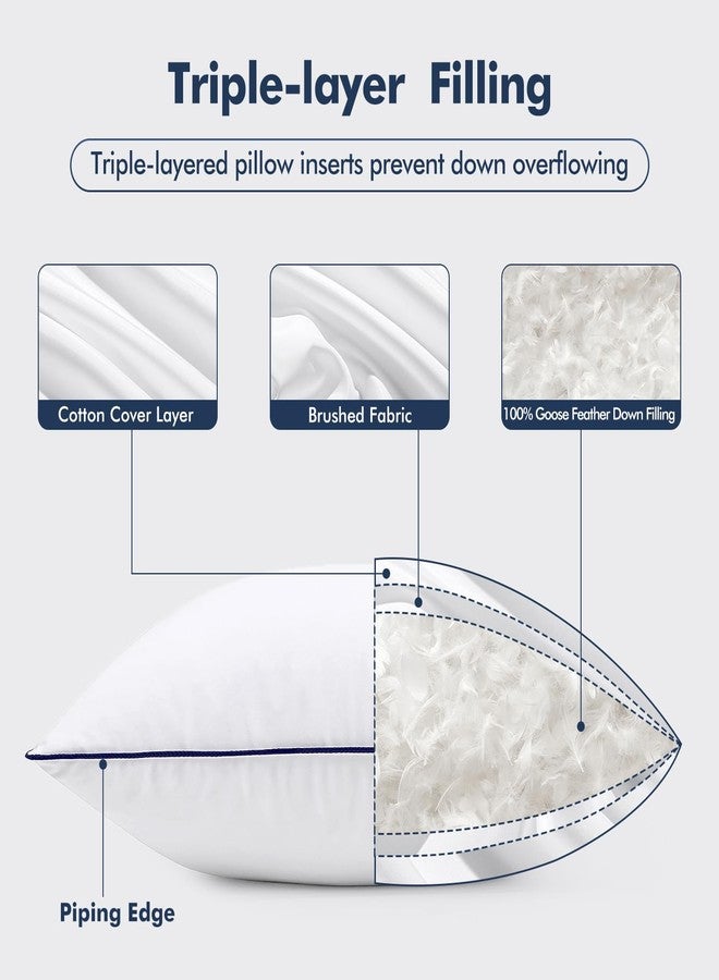 MIULEE مجموعة وسائد MIULEE من ريش الإوز 20x20 بحشوة من الريش 100% مع غطاء قطن مقاوم للريش، وسادة زخرفية ناعمة ورقيقة للكنبة أو السرير للغرفة البيضاء - Image 3
