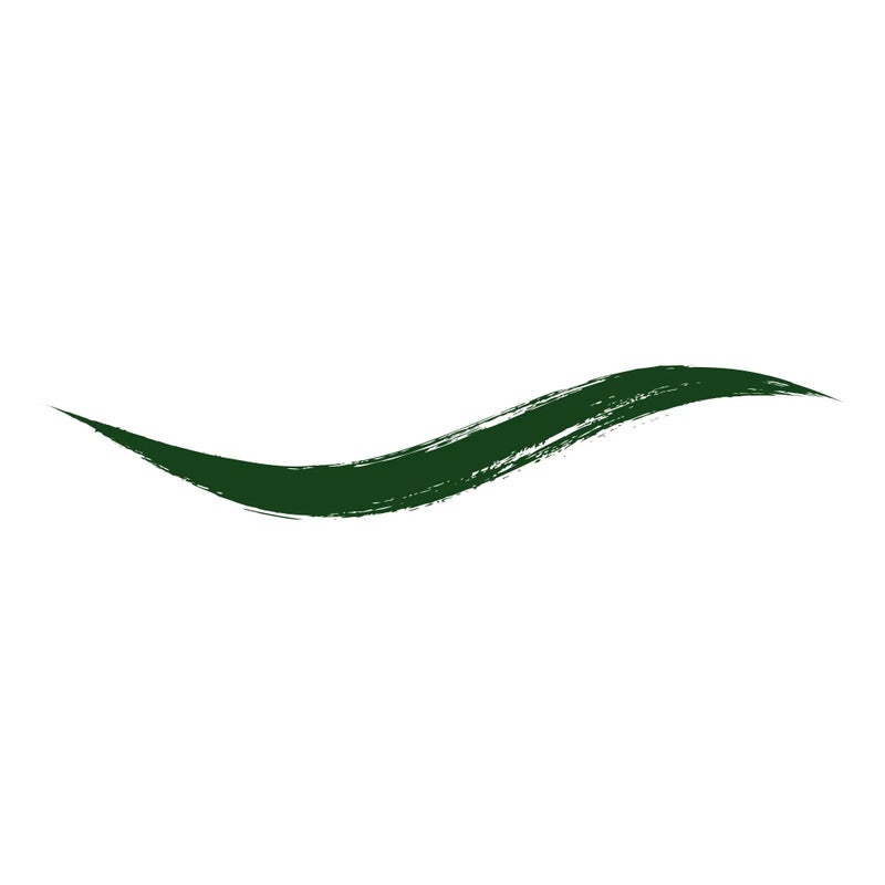Armaf Beaute Dip In Liquid Eyeliner Emerald Rich Colour 4ml, Water Resistant Matte Black Eye Liner, Lightweight, Long Lasting & Smudge Proof, Weightless Formula, Precision Tip For Bold & Defined Eyes - Image 3