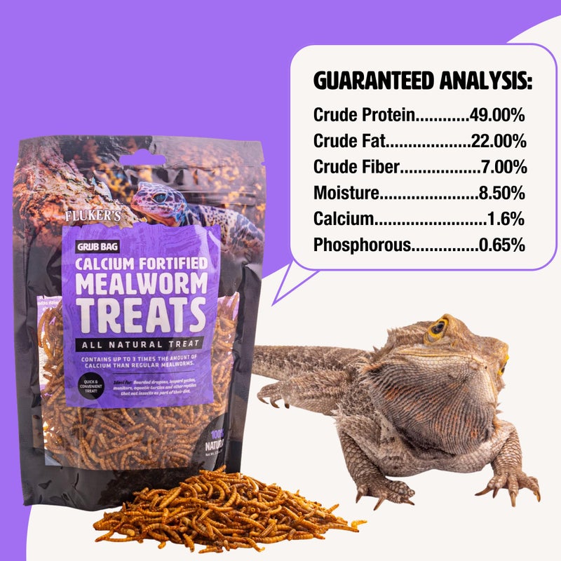 Fluker's Flukerâ€™s Grub Bag All Natural Calcium Fortified Mealworm Treats, Packed with Protein, Rich in Nutrients, A Reptile Favorite, 3 oz - Image 2