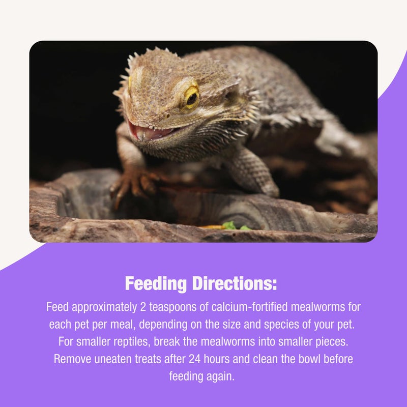Fluker's Flukerâ€™s Grub Bag All Natural Calcium Fortified Mealworm Treats, Packed with Protein, Rich in Nutrients, A Reptile Favorite, 3 oz - Image 4