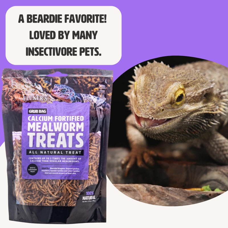 Fluker's Flukerâ€™s Grub Bag All Natural Calcium Fortified Mealworm Treats, Packed with Protein, Rich in Nutrients, A Reptile Favorite, 3 oz - Image 5