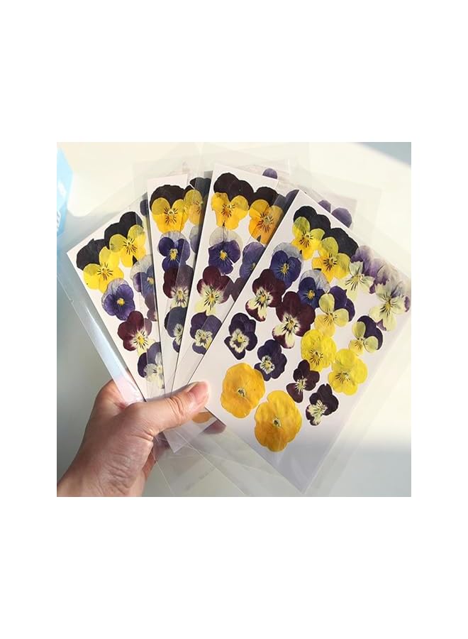 The Bros 54 Pcs Dried Pressed Flowers for Resin DIY Art Crafts Natural Dry Floral Epoxy Jewelry Real Flower Decor Cakes Phone Cases Candles Handmade Soap Purple Pansy - Image 3
