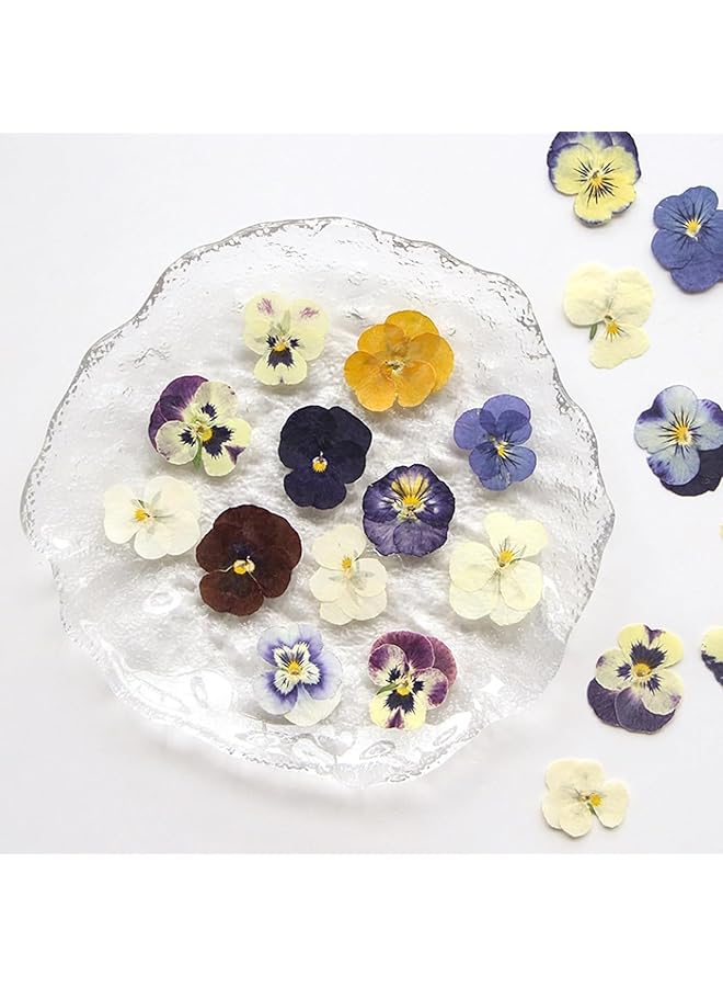 The Bros 54 Pcs Dried Pressed Flowers for Resin DIY Art Crafts Natural Dry Floral Epoxy Jewelry Real Flower Decor Cakes Phone Cases Candles Handmade Soap Purple Pansy - Image 1