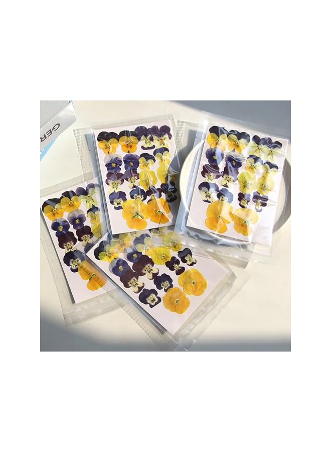 The Bros 54 Pcs Dried Pressed Flowers for Resin DIY Art Crafts Natural Dry Floral Epoxy Jewelry Real Flower Decor Cakes Phone Cases Candles Handmade Soap Purple Pansy - Image 2