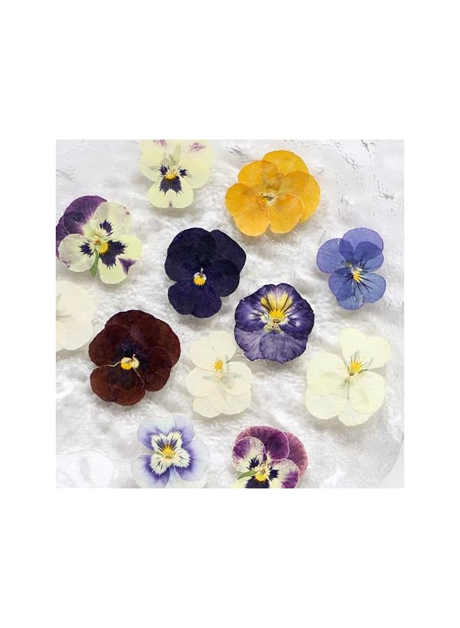The Bros 54 Pcs Dried Pressed Flowers for Resin DIY Art Crafts Natural Dry Floral Epoxy Jewelry Real Flower Decor Cakes Phone Cases Candles Handmade Soap Purple Pansy - Image 4