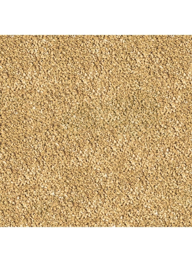 Sera - Bettagran Nature Fish Food 10g - Image 4