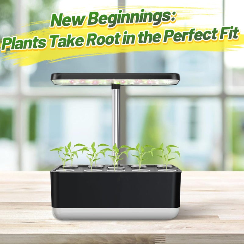 Alphatool Grow Baskets Compatible with AeroGarden - 50 Pcs Hydroponic Baskets, Seed Starters Pods Replacement for Improving Germination Rate Speed, Seeds Starting Kit for Indoor - Image 5