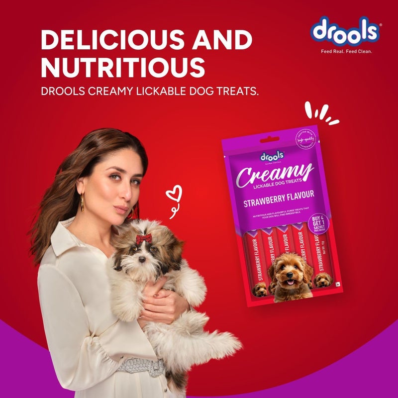 درولز حلوى الكلاب Drools، نكهة الفراولة الكريمية، 5 عصي – وجبة خفيفة لذيذة ومغذية لجميع أنواع الكلاب، (15 جرام × 5 عصي)، الوزن الإجمالي 75 جرام - Image 3