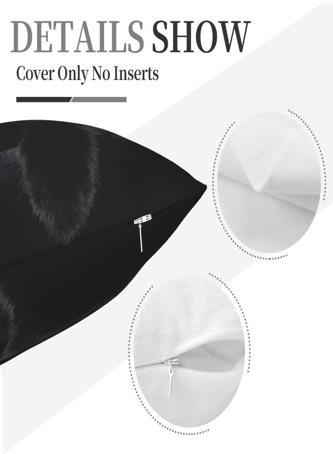 feelacle Black Cat Decorative Throw Pillow Covers Pillows Case Square Cushion Cover Standard Pillowcase for Sofa Couch Bedroom Patio 18 X18 Inch - Image 4