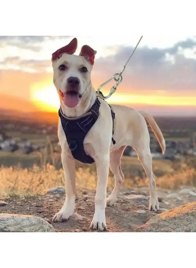 15 م سبيكة فولاذية رمادية فضية خطافات دوارة خفيفة الوزن ومتينة بحجم إكس لارج للكلاب - Image 3