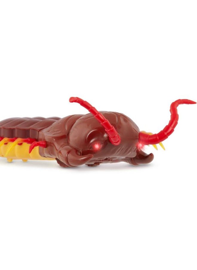 Terra Remote Control Centipede – Giant Scolopendra With Led Eyes  - Image 2