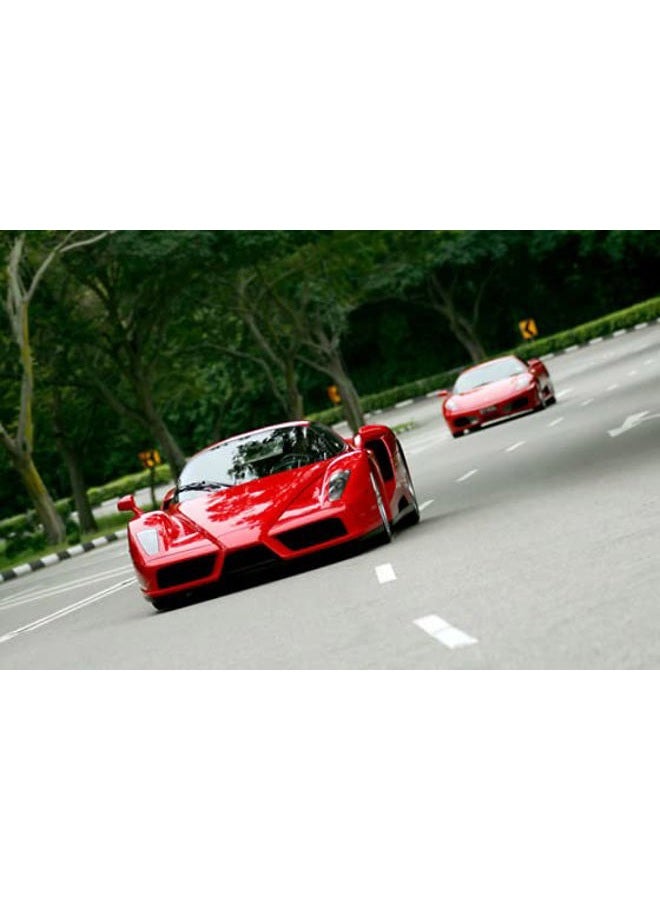 Wonderbox - Original Gift Idea - Experience Gift - Bucket List Experiences - 1 Activity to Choose from a Selection: Ferrari Driving, Dolphin Watching, Speedboat, Airboat for Gators Watching... - Image 3