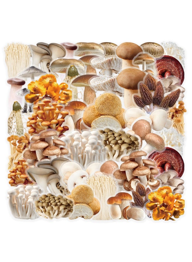 NIBEMINENT 50 Pcs Cartoon Mushroom Deco Kit Waterproof Stickers, High Definition Printing Bright Colors, Suitable for Laptop Skateboard Luggage Water Bottle Guitar DIY - Image 2