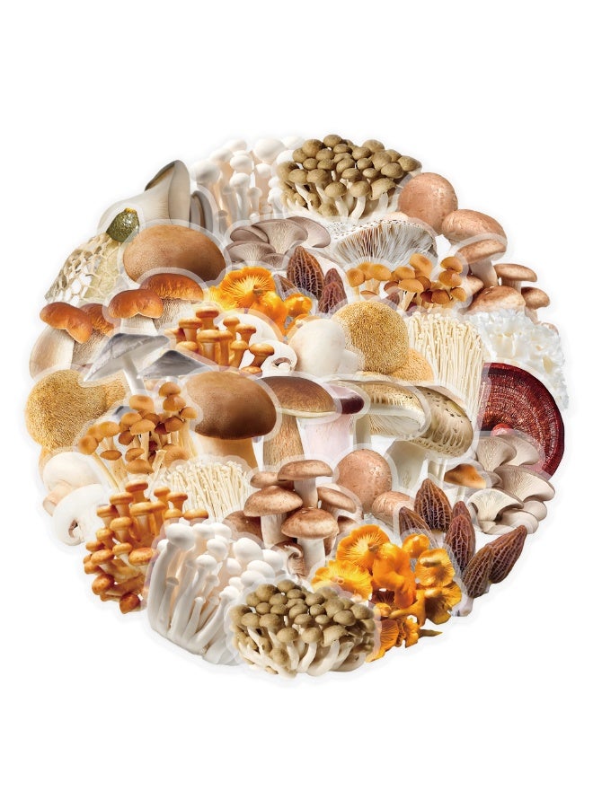 NIBEMINENT 50 Pcs Cartoon Mushroom Deco Kit Waterproof Stickers, High Definition Printing Bright Colors, Suitable for Laptop Skateboard Luggage Water Bottle Guitar DIY - Image 1