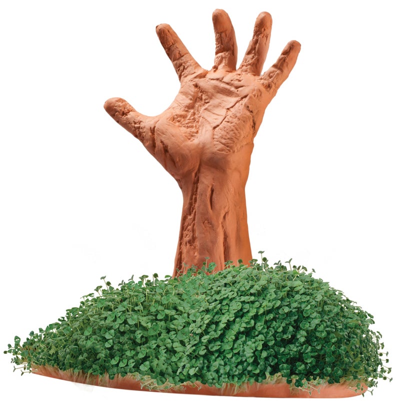 Chia Pet Zombie Pet with Seed Pack, Decorative Pottery Planter, Easy to Do and Fun to Grow, Novelty Gift, Perfect for Any Occasion - Image 3