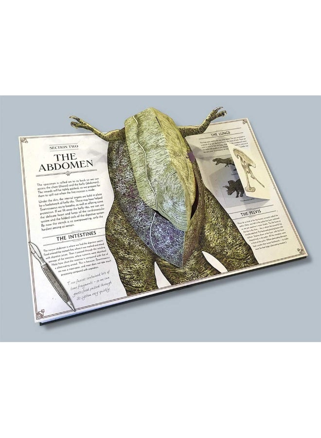 Tyrannosaurus rex: A Pop-Up Guide to Anatomy  - Image 4