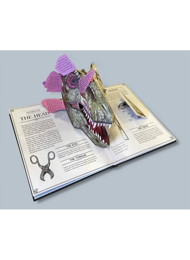 Tyrannosaurus rex: A Pop-Up Guide to Anatomy  - Image 3