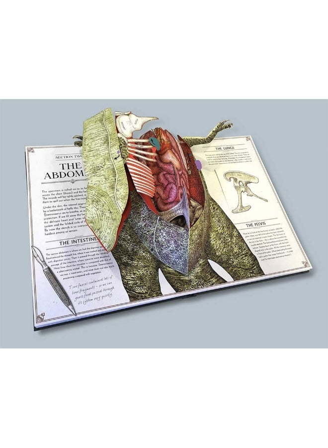 Tyrannosaurus rex: A Pop-Up Guide to Anatomy  - Image 5
