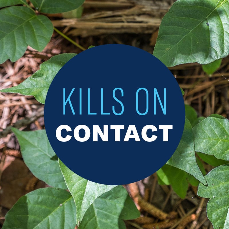 BioAdvanced Brush Killer Plus Spray - Kills Tough Brush like Poison Ivy - Visible Results in 1-6 Weeks - Rainproof in 4 Hours - 1 gal Bottle - Image 3