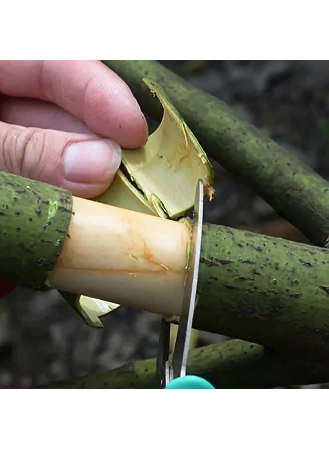 Professional Grafting Scissors Stainless Steel Pruning Tool 1pc Bark Cutter Garden - Image 3