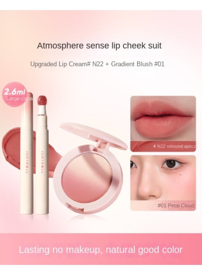 【مسحوق الشفاه كريم أحمر الخدود مجموعة】مجموعة مرفوعة السعة صندوق هدايا، نهائي مائي غير لامع، طويل الأمد، مضيء، ومحسن للبشرة - Image 2