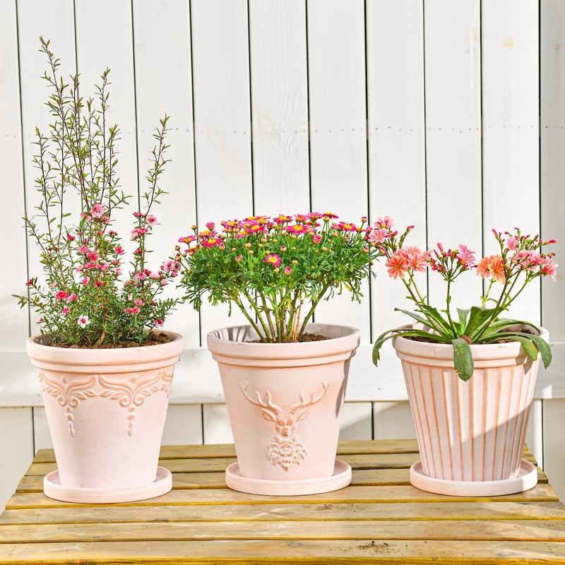 Sungmor Set of 3 Terra Cotta Pots With Saucer & Drainage Hole - 8 Inch Large & Deep Clay Planters, Unique Embossed & Pretty Color Pottery for Plants, Orchid, Cactus, Succulent - Image 4