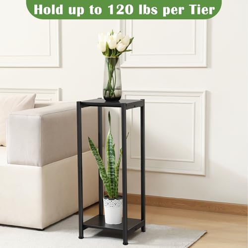 Dipion Tall Plant Stand Indoor,31 Inch Plant Stands,2 Tier Metal Plant Stand with Heavy Duty Wood,Black - Image 4