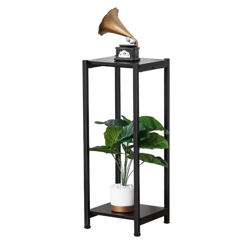 Dipion Tall Plant Stand Indoor,31 Inch Plant Stands,2 Tier Metal Plant Stand with Heavy Duty Wood,Black - Image 1