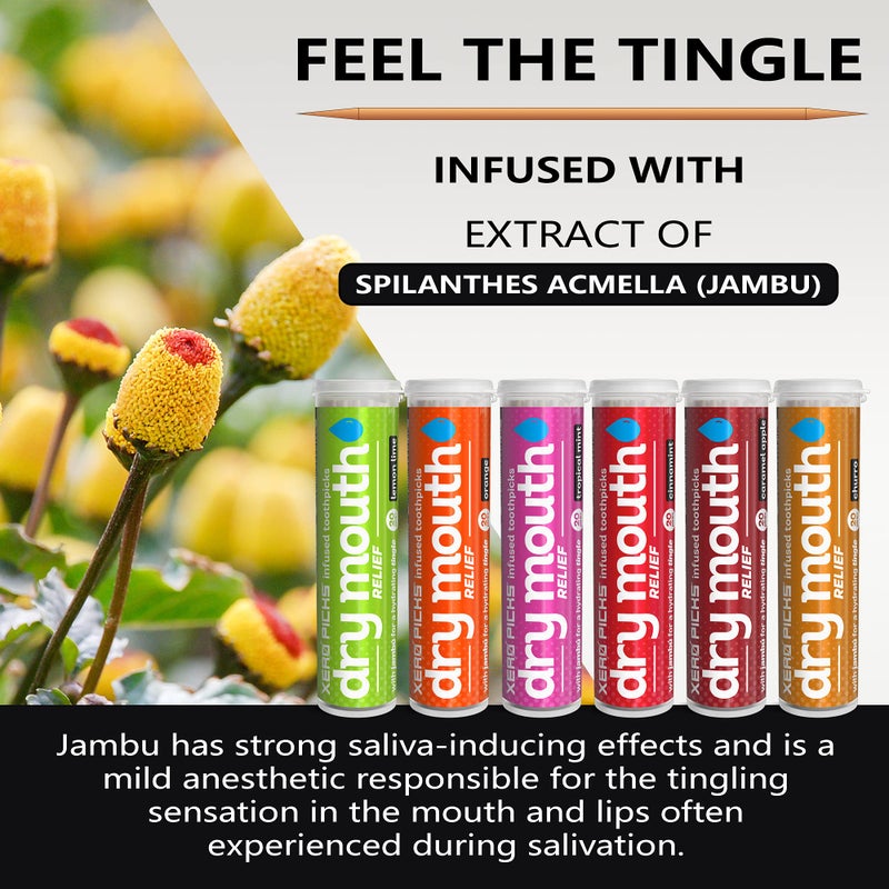 XERO PICKS عيدان أسنان زيرو بيكس للفم الجاف - عيدان طعم منقوعة لانتعاش نفس طويل الأمد ومنع الفم الجاف (عبوة متنوعة 6 قطع) - Image 4