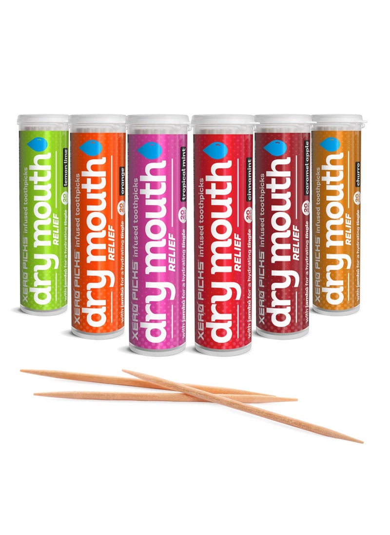 XERO PICKS - Xero Picks Dry Mouth - Infused Flavored Toothpicks for Long Lasting Fresh Breath & Dry Mouth Prevention (Variety 6 Pack) - Image 1