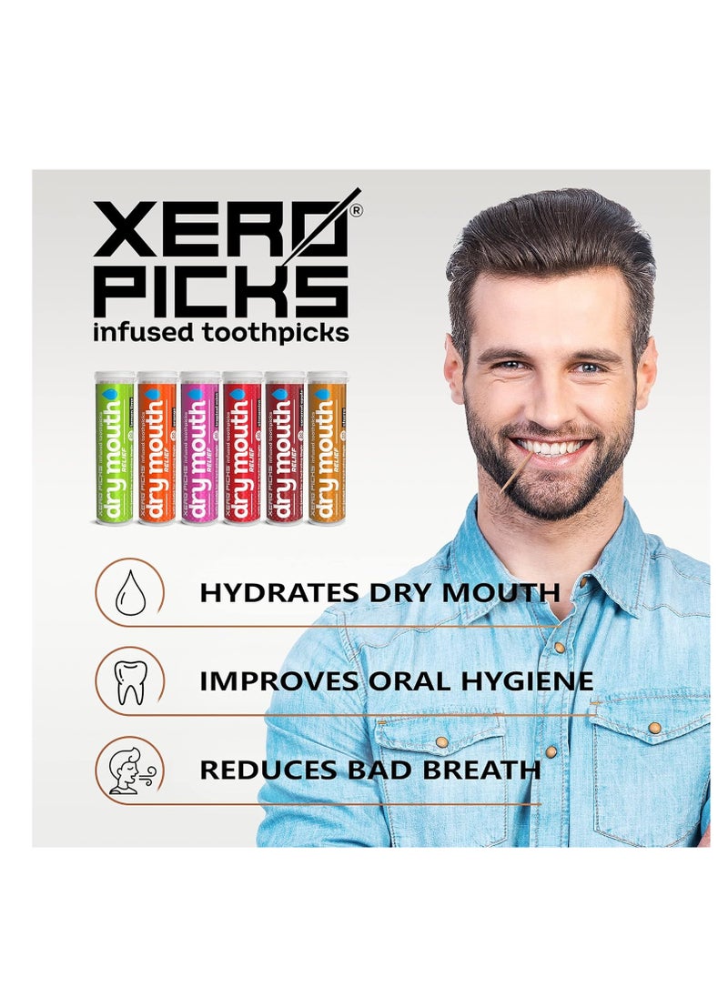XERO PICKS - Xero Picks Dry Mouth - Infused Flavored Toothpicks for Long Lasting Fresh Breath & Dry Mouth Prevention (Variety 6 Pack) - Image 1