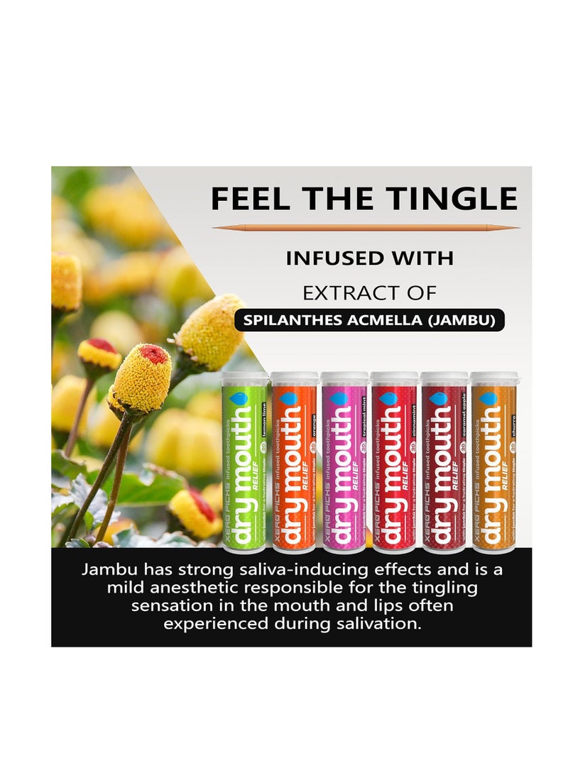 XERO PICKS - Xero Picks Dry Mouth - Infused Flavored Toothpicks for Long Lasting Fresh Breath & Dry Mouth Prevention (Variety 6 Pack) - Image 1
