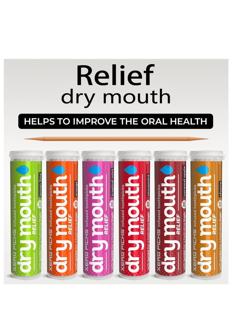 XERO PICKS - Xero Picks Dry Mouth - Infused Flavored Toothpicks for Long Lasting Fresh Breath & Dry Mouth Prevention (Variety 6 Pack) - Image 1
