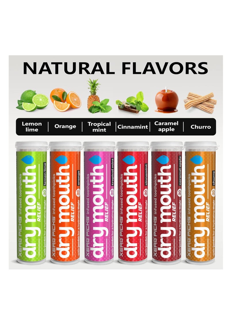 XERO PICKS - Xero Picks Dry Mouth - Infused Flavored Toothpicks for Long Lasting Fresh Breath & Dry Mouth Prevention (Variety 6 Pack) - Image 1