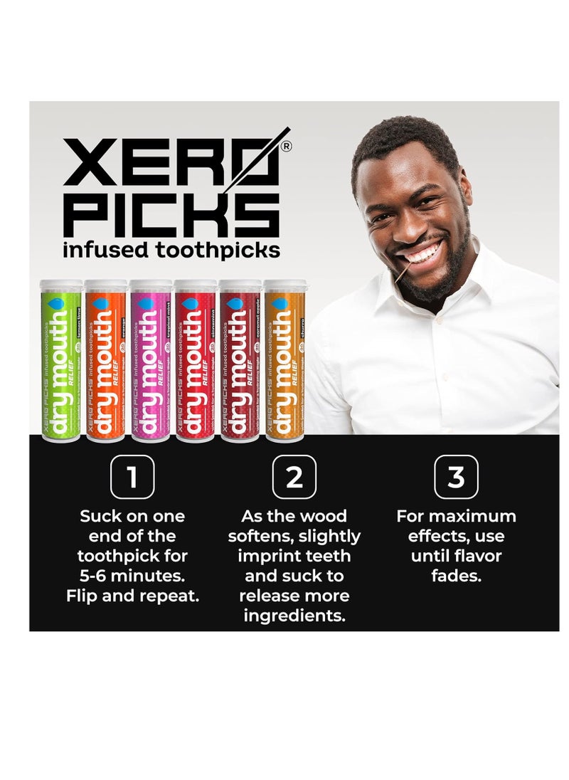 XERO PICKS - Xero Picks Dry Mouth - Infused Flavored Toothpicks for Long Lasting Fresh Breath & Dry Mouth Prevention (Variety 6 Pack) - Image 1