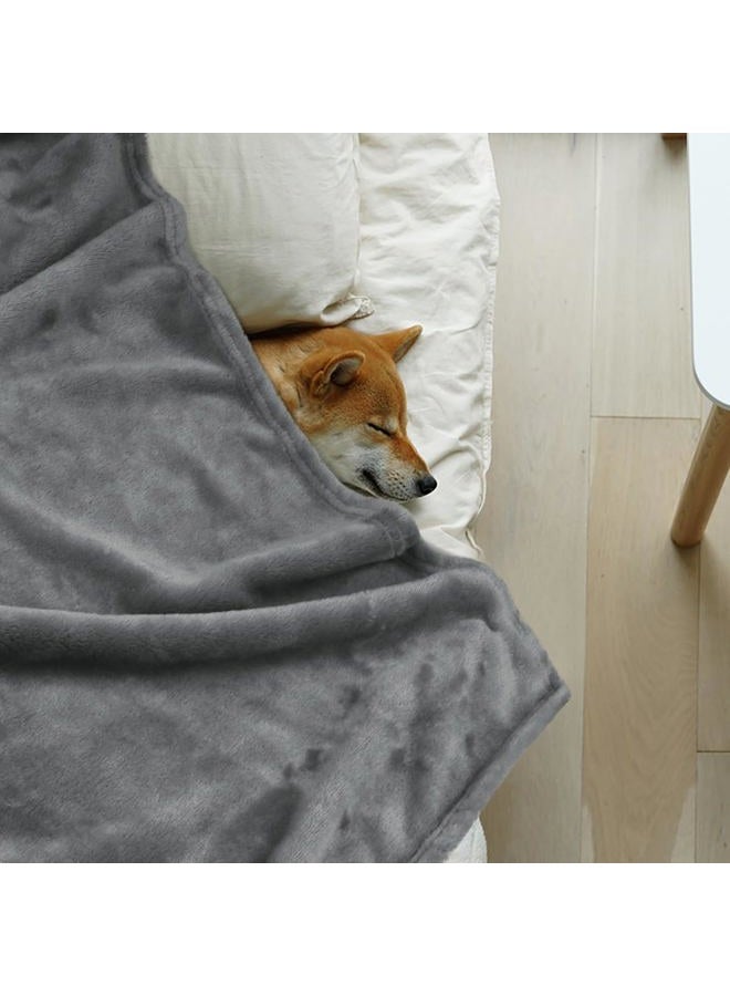 Onarway Dog Blanket Washable for Bed: 2 Packs Dog Blankets 40”x47” - Fluffy Soft Large Throw for Cat Puppy Kitten Dogs - Fleece Pet Blankets for Crate Couch Car and Indoor - Grey - Image 2