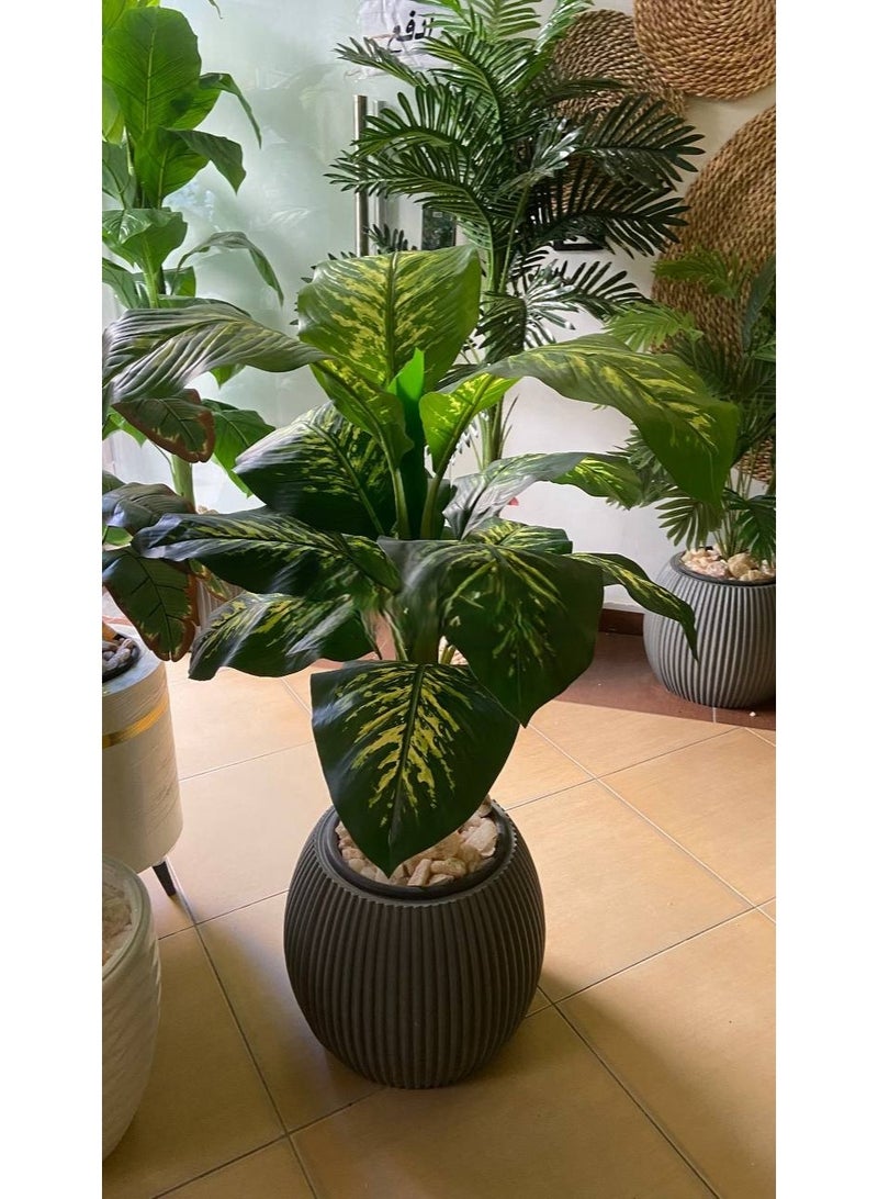 ناما شجرة فامباخيا منقوشه  ارتفاع ١٣٠سم  لديكور المنزل