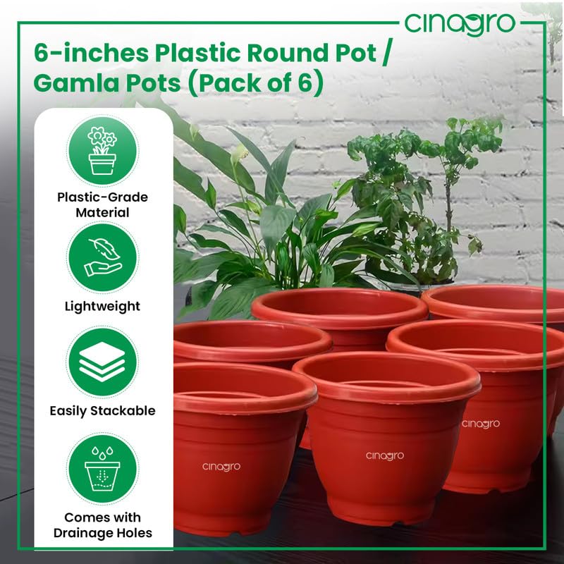 CINAGRO Plastic Round Pot, 6 inch - Pack of 6, Fits 5.5 inch Bottom Tray, Gamla Pot, UV Protected Planter, Heavy-Duty, Durable Plant Container, Gamla for Indoor Home Decor & Outdoor Garden - Image 2
