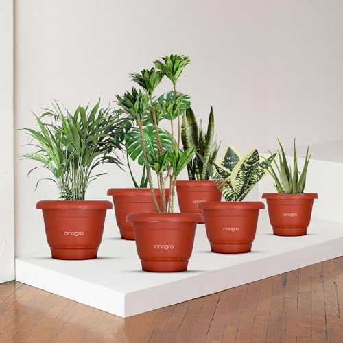 CINAGRO Plastic Round Pot, 6 inch - Pack of 6, Fits 5.5 inch Bottom Tray, Gamla Pot, UV Protected Planter, Heavy-Duty, Durable Plant Container, Gamla for Indoor Home Decor & Outdoor Garden - Image 1