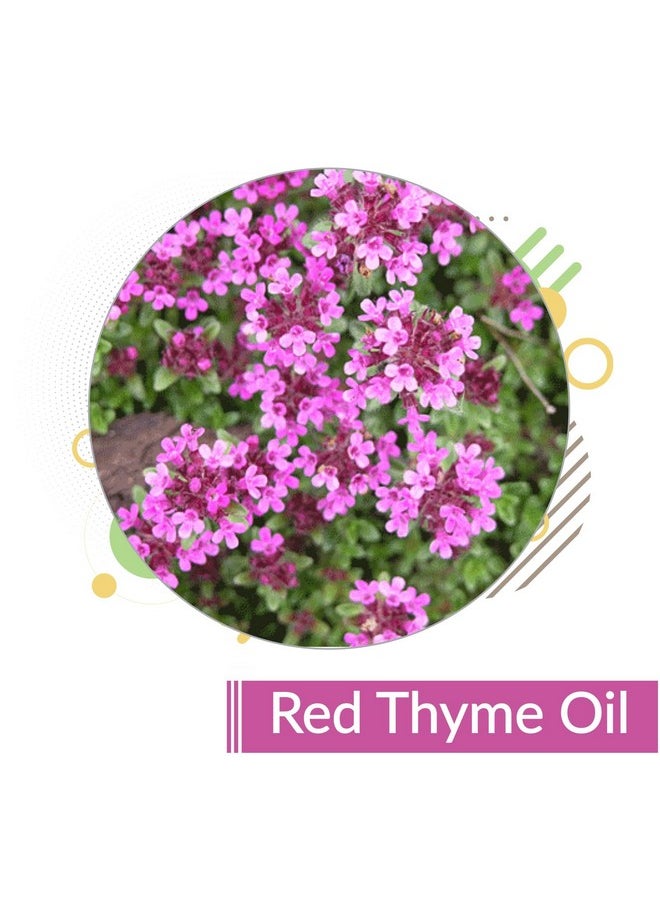 كريساليس زيت الزعتر الأحمر (Thymus Serpyllum) | زيت عطري عضوي نقي وطبيعي 100% غير مخفف | للاستخدام على البشرة والشعر والتدليك | زيت العلاج بالروائح | 50 مل مع قطارة  - Image 3