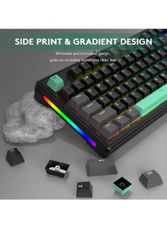 هجوم القرش لوحة مفاتيح ميكانيكية للألعاب Attack Shark M87 بإضاءة خلفية RGB مدمجة وقابلة للتبديل السريع وقابلة للبرمجة USB-C/بلوتوث/2.4 جيجا هرتز لوحة مفاتيح مكتبية قابلة لإعادة الشحن لنظام Win/MAC  - Image 3