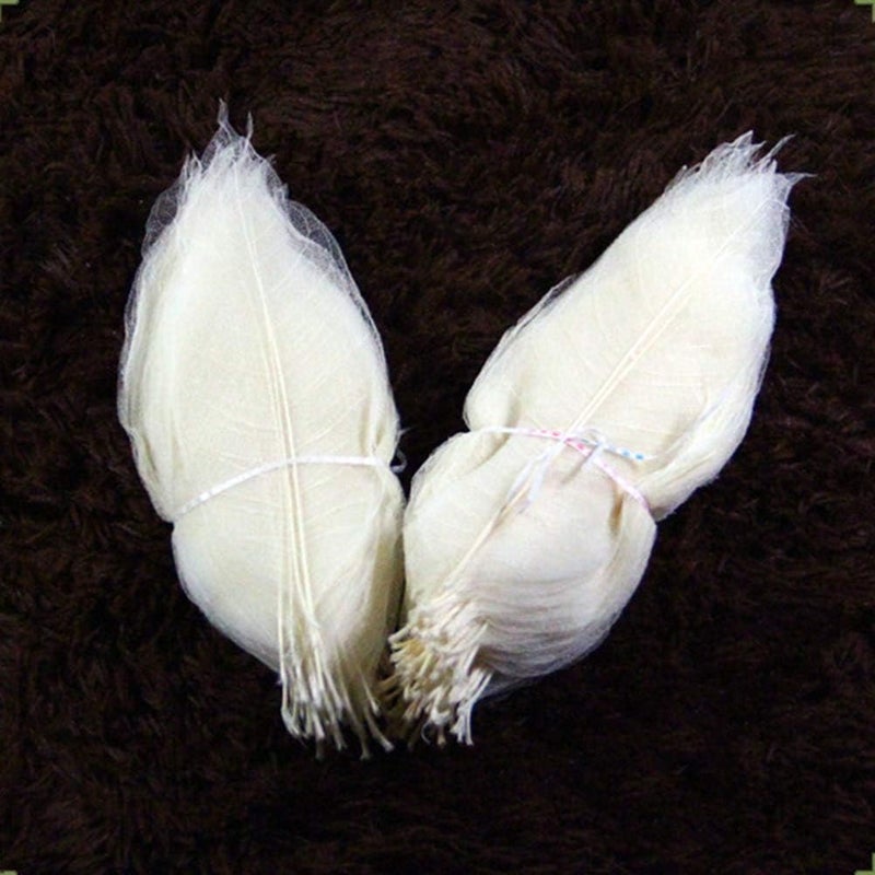 SUPVOX Dried Leaves 100pcs Skeleton Leaf White Natural Leaf Vein for Art Craft Wedding Decor - Image 4