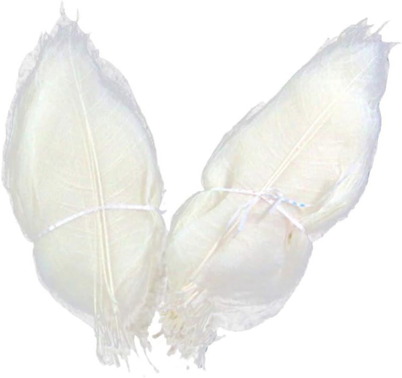 SUPVOX Dried Leaves 100pcs Skeleton Leaf White Natural Leaf Vein for Art Craft Wedding Decor - Image 1
