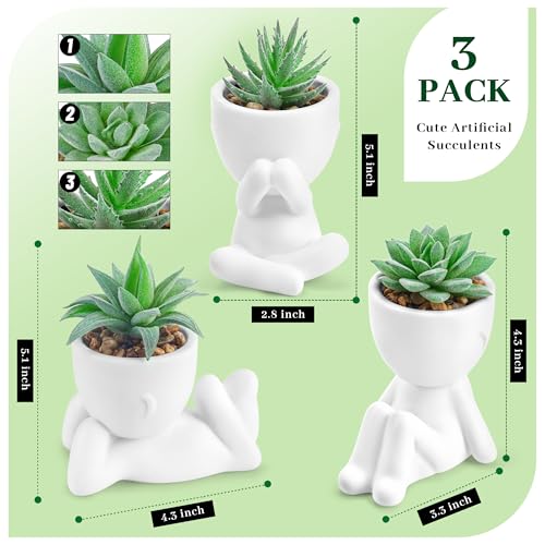 Der Rose 3pcs Fake Succulents Plants Artificial for Bathroom Bedroom Home Room Decor Aesthetic Indoor - Image 2