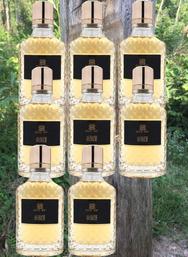 ألباين نوبل 8 قطع عطر عود 45 100 مل - Image 1