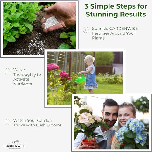GARDENWISE Slow Release Hydrangea Fertilizer with Iron & Sulfur – Indoor & Outdoor Soil Acidifier for Miracle Growth (12 oz) - Image 5