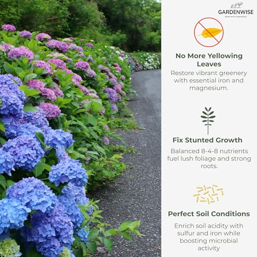 GARDENWISE Slow Release Hydrangea Fertilizer with Iron & Sulfur – Indoor & Outdoor Soil Acidifier for Miracle Growth (12 oz) - Image 4