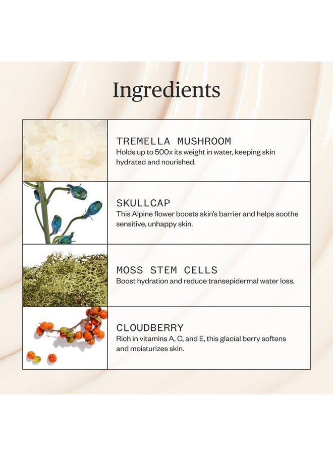 Ursa Major Alpine Rich Cream Deeply Hydrating & Moisturizing Natural Face Lotion Supports Skin Barrier And Targets Fine Lines Vegan Nontoxic Crueltyfree 1.69 Ounce  - Image 4
